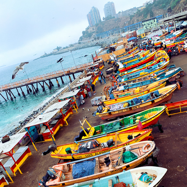 Fishing boats are seen docked at Caleta Portales, an artisanal fishing harbor located between Viña del Mar and Valparaíso, Chile.