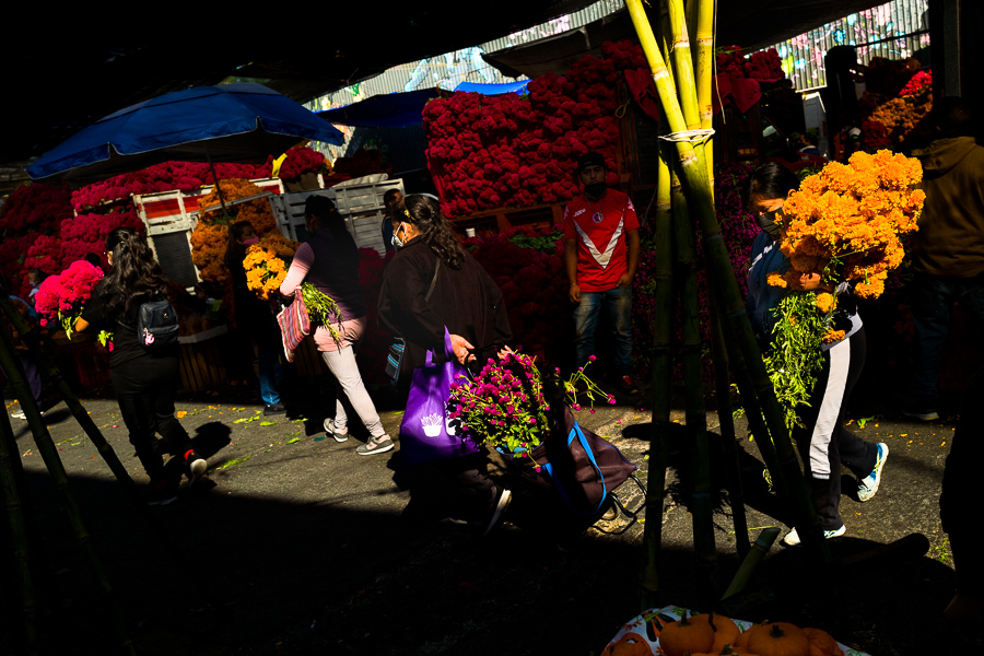 Marigold flowers (Cempasúchil) are used to adorn graves and altars during the Day of the Dead (Día de Muertos) in Mexico.