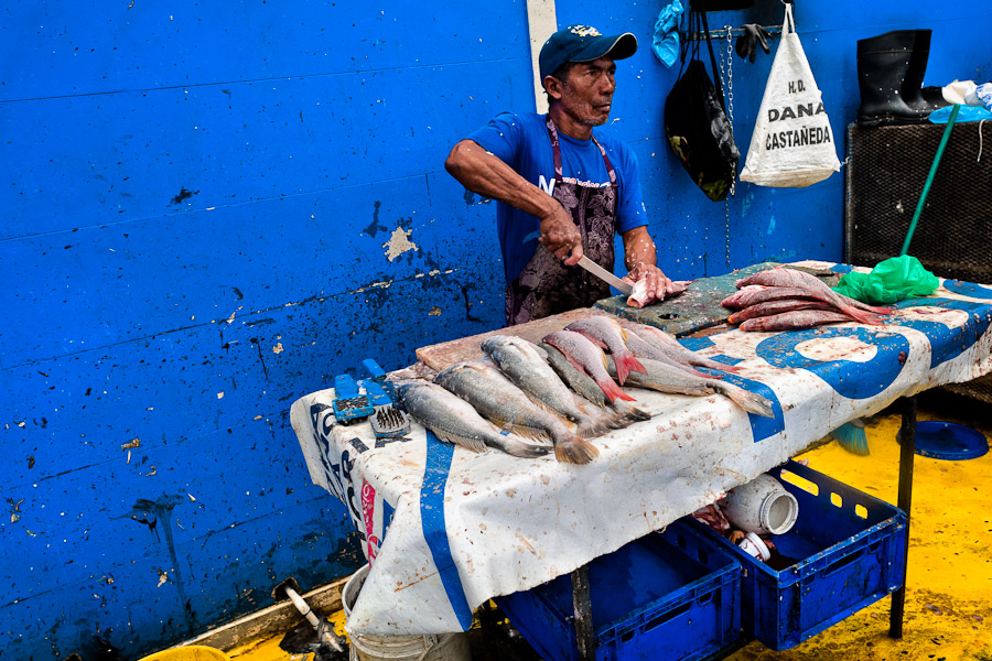 A Panamanian fisherman cleans the fish at Mercado de Mariscos seafood and fish market in Panama City, Panama.