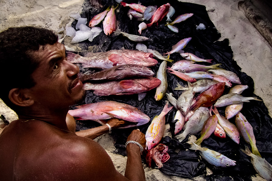 The fisherman guts fish on the beach. The fisherman has just his fishing line, hooks and a knife. Every jangadeiro on the boat fishes on his own, they do not share the catch.