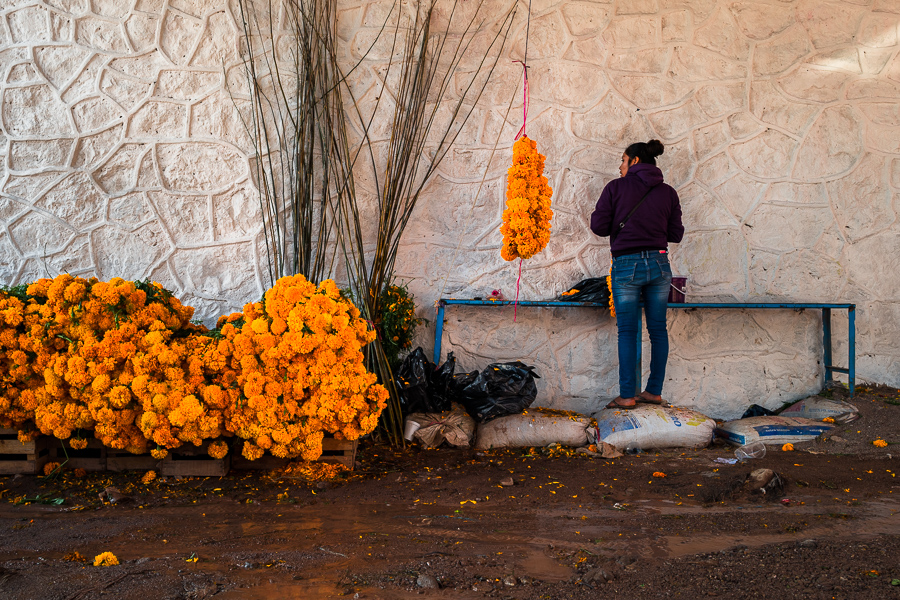 A young Mexican woman sells bunches of marigold flowers (Flor de Muertos) for the Day of the Dead celebrations in the market in Tlapa de Comonfort, Guerrero, Mexico.