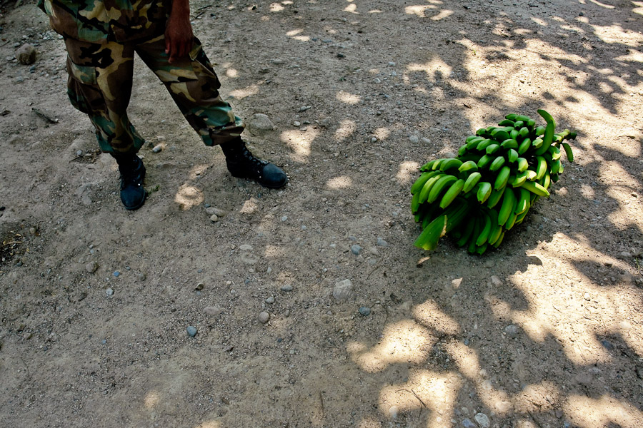 South America, Colombia, Aracataca. A soldier stands next a banana bunch on the banana plantation. The big companies used do hire paramilitary groups to protect their interests.