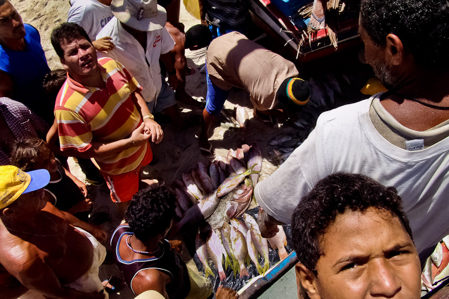 A fish catch is always devided fifty-fifty: a half for the fishermen, the other half for the boat owner. People from the village and fishmongers come to buy fish, right on the beach when jangada gets back.