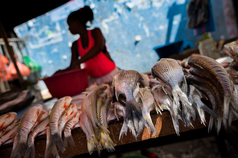 An Afro-Colombian woman sells fresh fish in the market of Bazurto in Cartagena, Colombia.