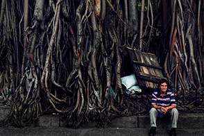 Roots in the air (Medellín, Colombia)