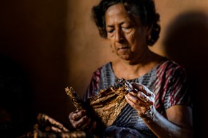 The last cigar roller in Suchitoto