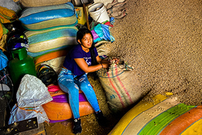 A café girl (Santander de Quilichao, Cauca, Colombia)