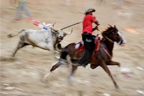 Chased by a bull at Corralejas