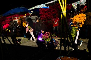 Day of the Dead flowers in Mexico (Mexico City, Mexico)