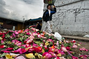 Flower market in Bogota