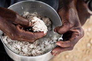 Rice, food of the poor (Port-au-Prince, Haiti)