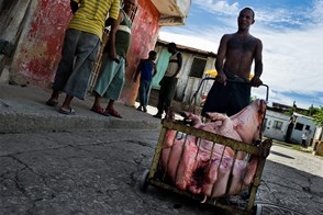 Matar el macho (Santiago de Cuba, Cuba)