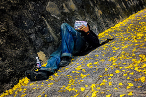 A man amongst yellow petals