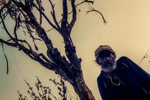 A man under a dried tree