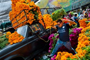 Flor de muertos (Mexico City, Mexico)