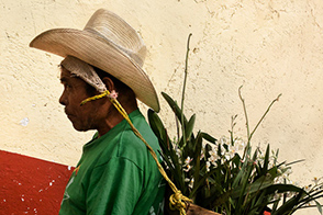 A Maya man with the tumpline (San Cristóbal de las Casas, Chiapas, Mexico)