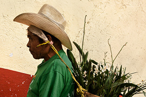 A Maya man with the tumpline