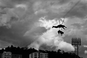 Dog in the air (Quito, Ecuador)