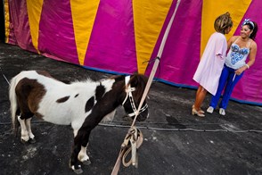 Circus couples (San Salvador, El Salvador)