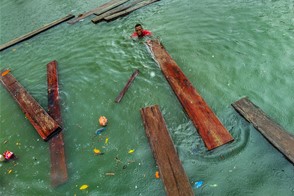 Rainforest wood transportation (Chocó, Colombia)