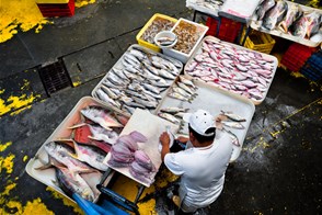 Seafood and fish market