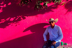 In the shade of a mango tree