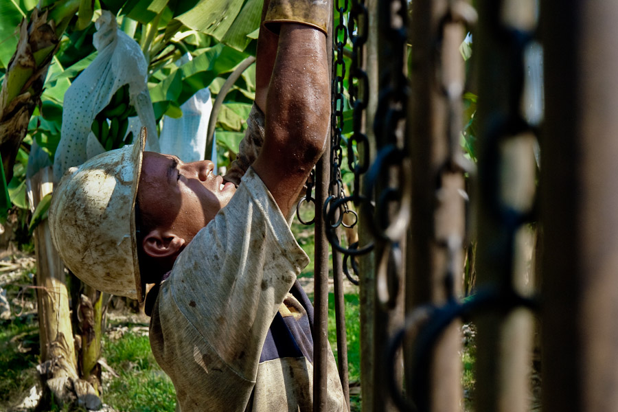 There is a high risk for the inhabitants of banana regions, such as man impotence, cancer, cutaneous diseases, respiratory problems, all due to the unscrupulous banana industry.