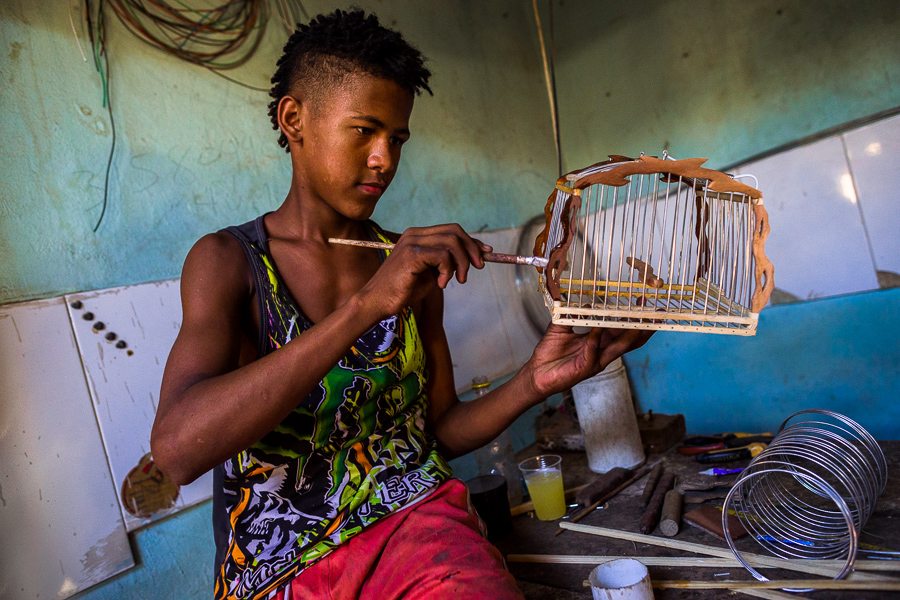 A young Colombian birdcage builder applies varnish on the wooden surface of a cage in the bird market in Cartagena, Colombia.