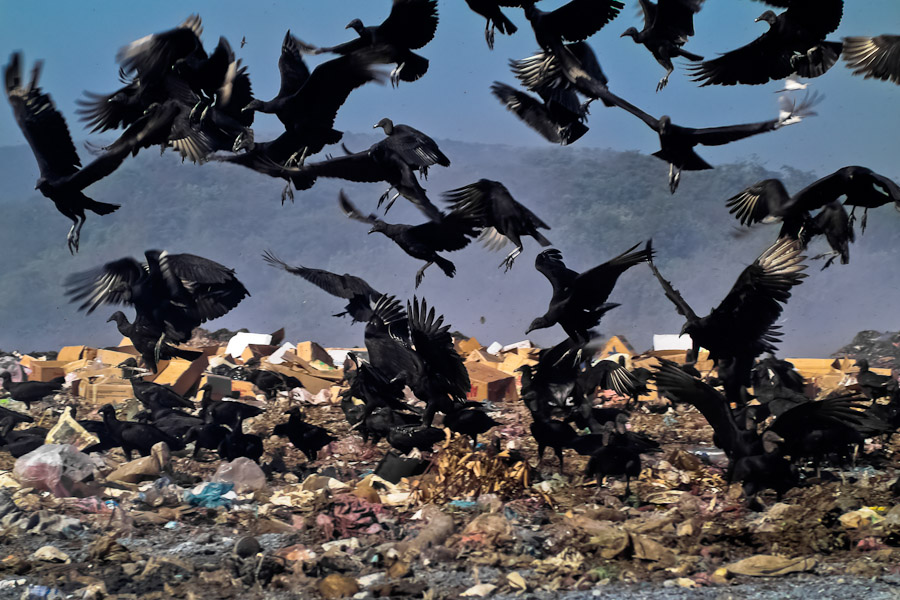 The inhabitants of Managua say that there is the end of the world in Nicaragua. It is called La Chureca, the garbage dump.
