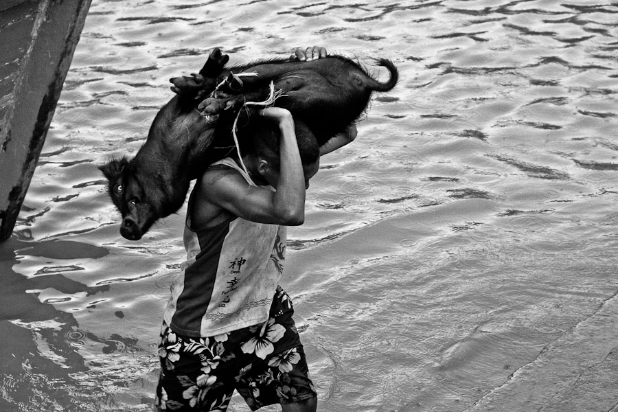 Food and supplies distribution in Amazonia basically depends only on the river boat transport.