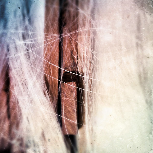 White horsehair and pernambuco bow sticks are seen in Jan Madiara's bowmaker workshop in Karlovy Vary, Czech Republic.