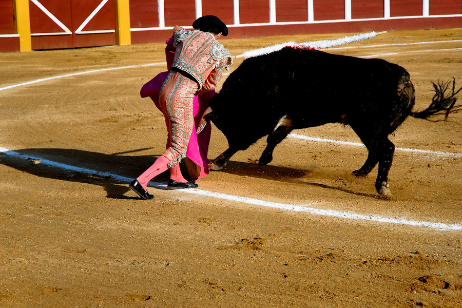 A Spanish bullfighter performs at the bullring in Fuengirola, a small town close to Malaga.