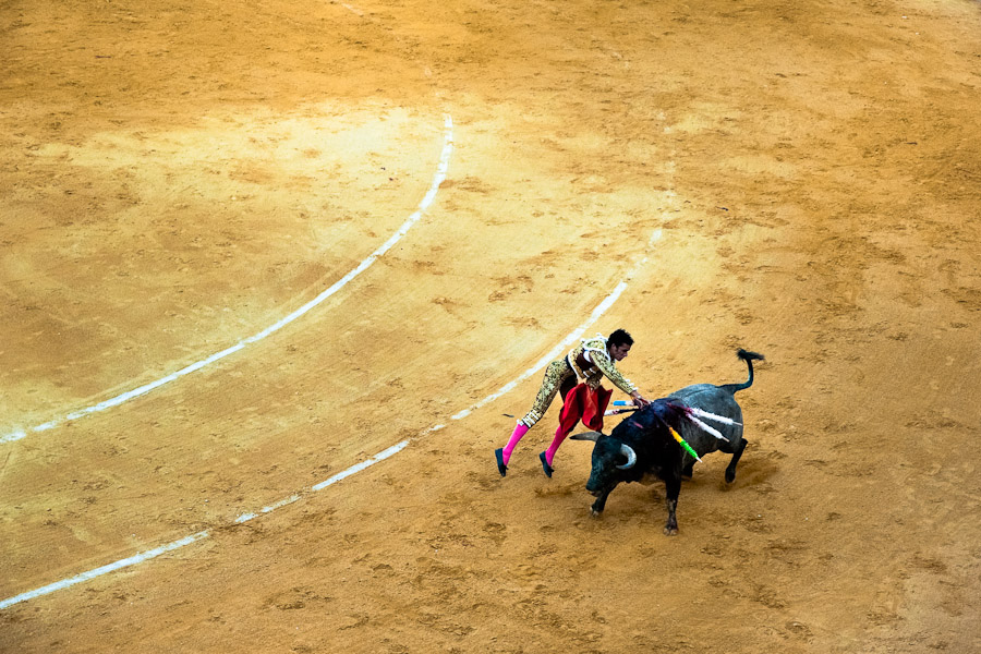 Bullfighting (Corrida de toros) at the bullring in Granada.