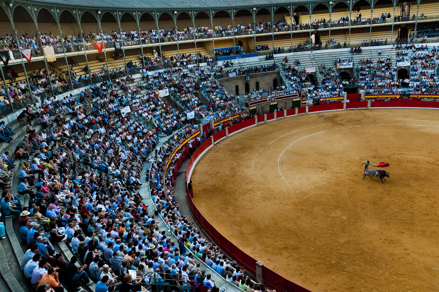 A Spanish bullfighter (matador) performs at the bullring in Granada.