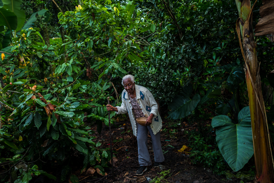 Betsabeth Alvarez, a 98-years-old Afro-Colombian farmer, walks amongst the trees on a traditional cacao farm in Cuernavaca, Cauca, Colombia.