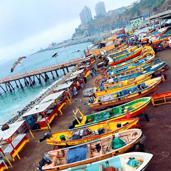 Caleta Portales in Valparaíso (Valparaíso, Chile)