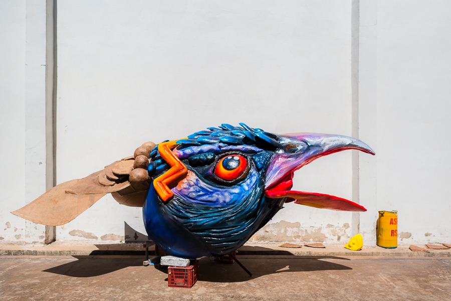 A freshly painted paper-mâché sculpture of a parrot's head is seen drying outside the Carnival float workshop in Barranquilla, Colombia.