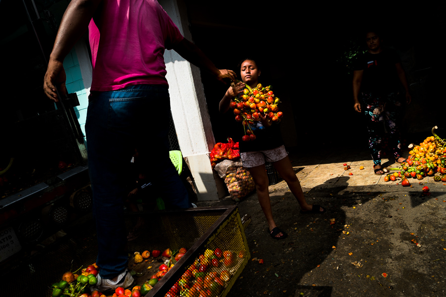 An Afro-Colombian girl unloads chontaduro (peach palm) fruits from a truck in a processing facility in Cali, Valle del Cauca, Colombia.