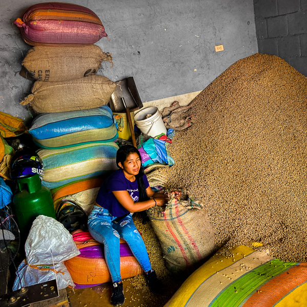 A Colombian girl inspects dried coffee beans in a warehouse in Santander de Quilichao, Cauca, Colombia.