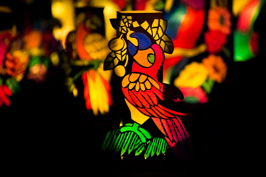 Colorful paper lanterns, depicting birds from tropical rainforests of Amazonia, are seen shining on the street during the annual Festival of Candles and Lanterns in Quimbaya, Colombia.