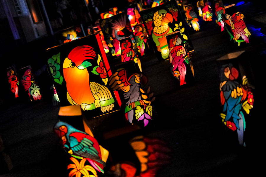 Colorful paper lanterns, depicting birds from tropical rainforests of Amazonia, illuminate the street during the annual Festival of Candles and Lanterns in Quimbaya, Colombia.