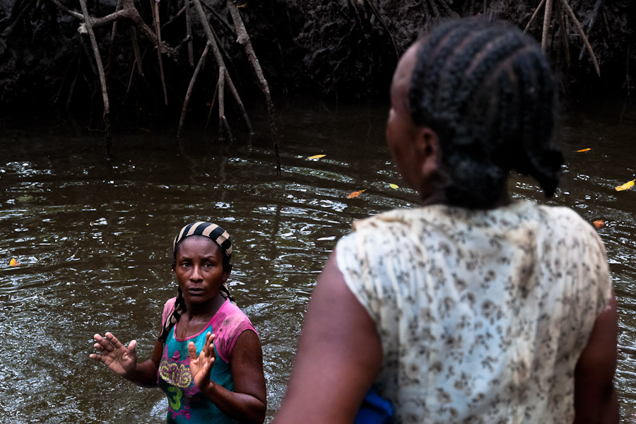 Most of the groups working in the mangrove swamps are organized by a local cooperative ASCONAR (Asociación de Concheras de Nariño) that provides the shared canoe and buys out collected mussels.