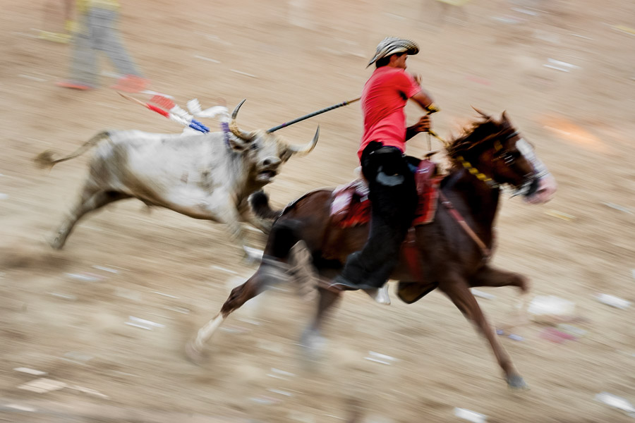 A Colombian cowboy stabs a bull in the neck while being chased in the arena of Corralejas, a bullfighting festival in Soplaviento, Colombia.