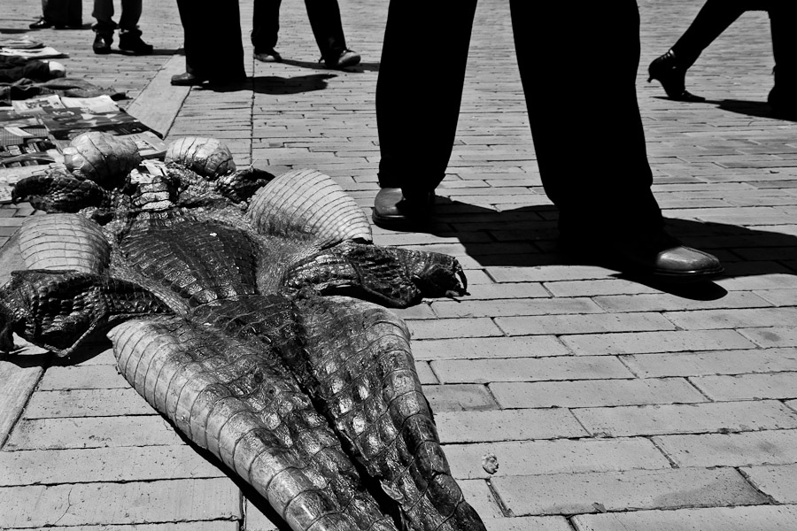 A dried-up crocodile skin sold in the flea market on the street in Bogota, Colombia.