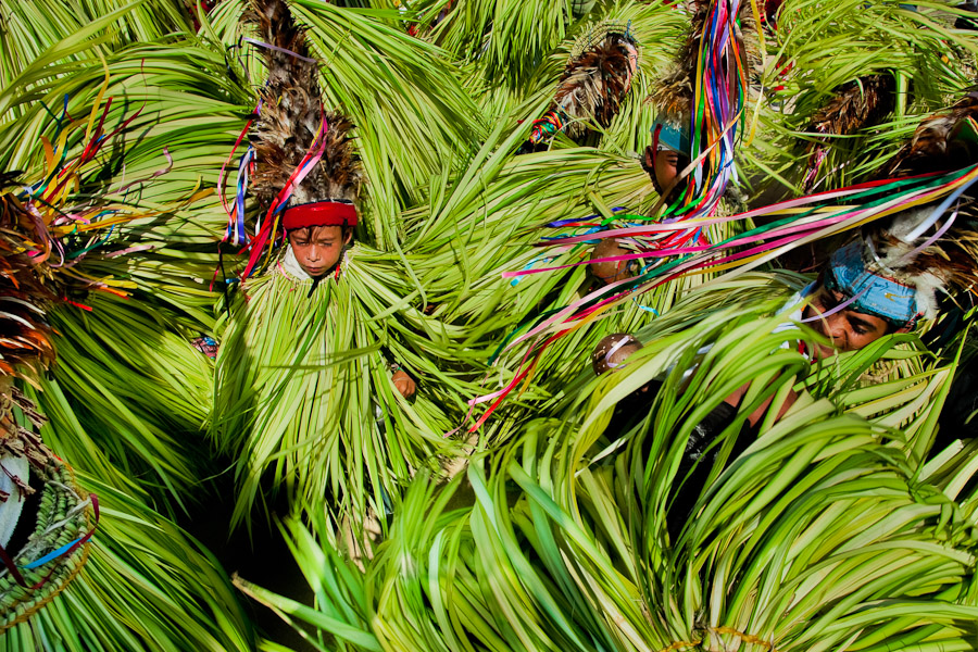 Cucambas, the bird character wearing a heavy coat made of leaves, is related to the personage of the God. Using the maracas (shakers) Cucambas warn against the Devil.