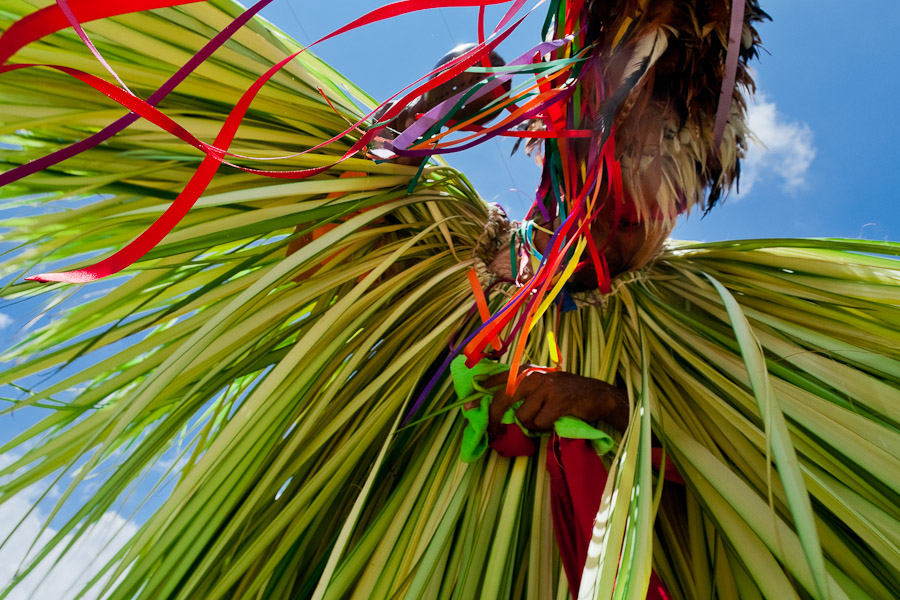 The Cucamba bird costume is made of palm tree leaves, stitched up into a 3-4 meters long strip. The adult's dancer costume may weigh up to 25 kilograms.
