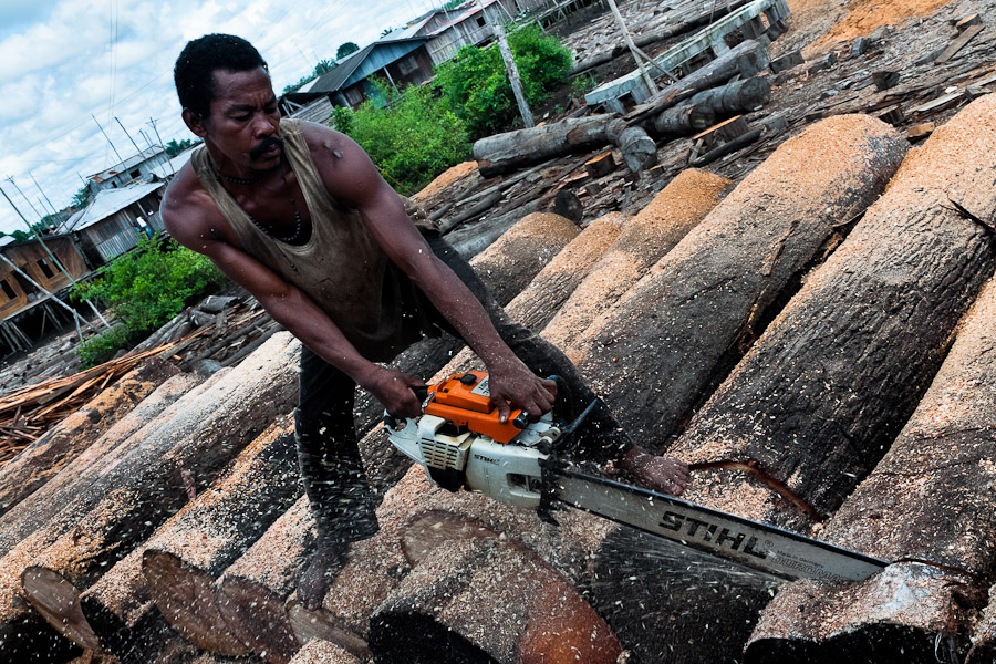 The Pacific coast rainforests suffer from extreme deforestation that results primarily from agricultural activities, mining and logging.