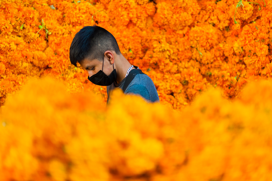 A Mexican flower market vendor sells piles of marigold flowers (Flor de Muertos) for the Day of the Dead celebrations in Mexico City, Mexico.