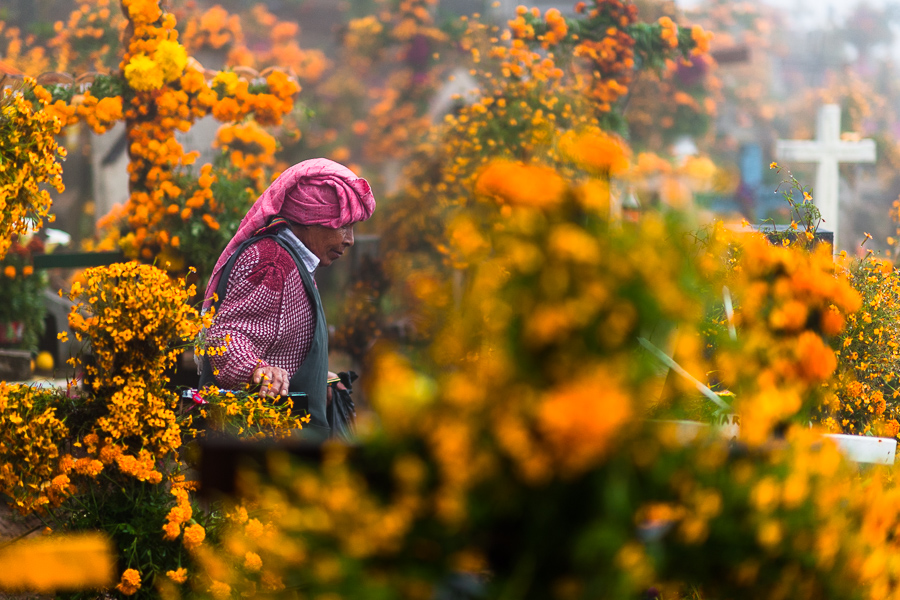 A Mexican indigenous woman walks amongst the flower-decorated graves at a cemetery during the Day of the Dead celebrations in Ayutla, Mexico.