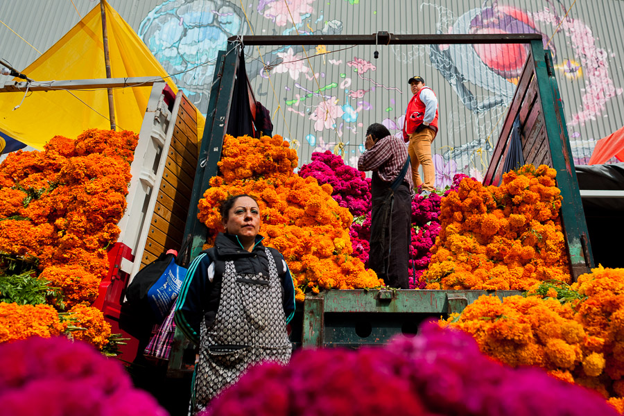 Mexican market vendors unload piles of of marigold flowers (Flor de muertos) for Day of the Dead festivities in Mexico City, Mexico.